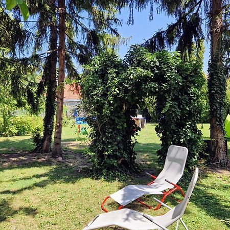 Romantic Villa - Pápa エクステリア 写真
