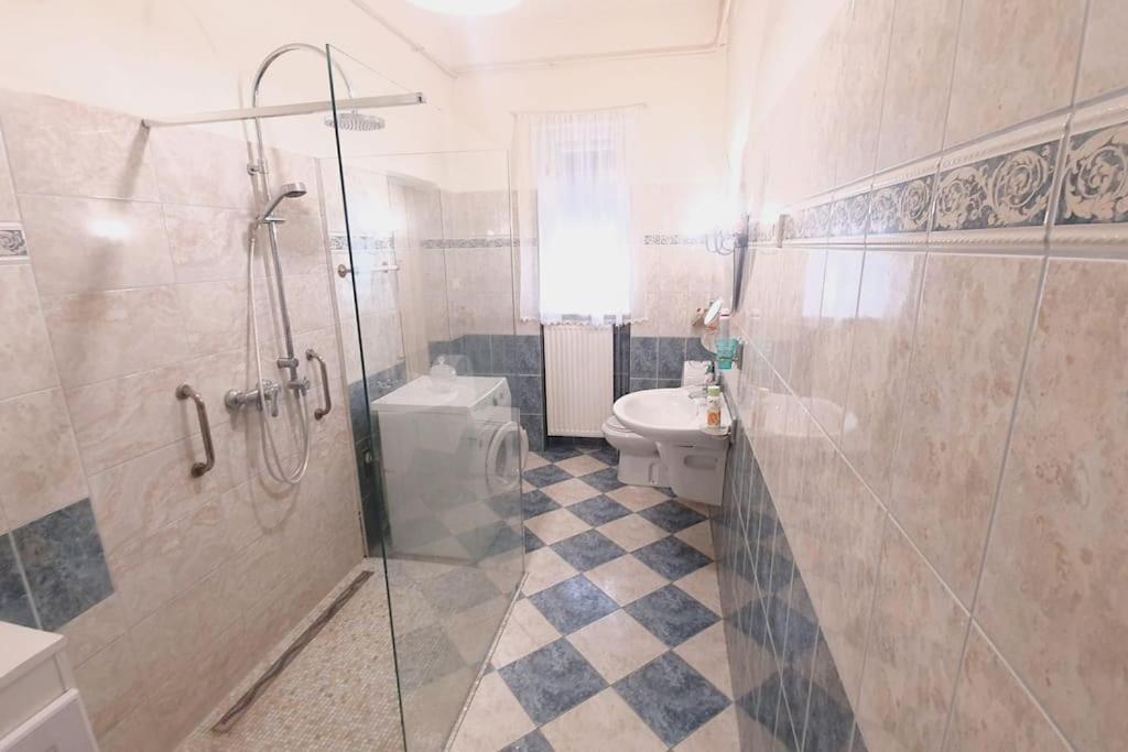 Romantic Villa - Pápa エクステリア 写真